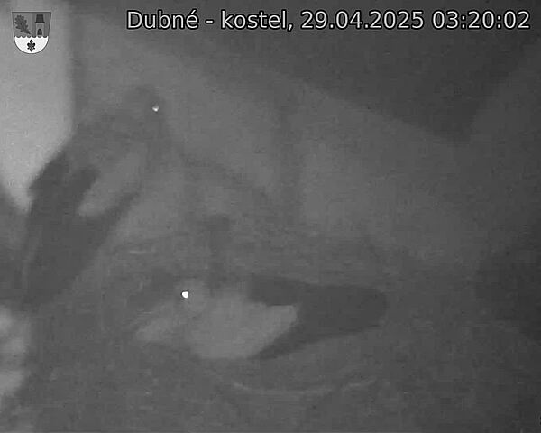 Capi_Dubne_20250429_032002.jpg (1350 x 1080)