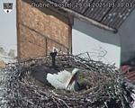 Capi_Dubne_20250429_133004.jpg
