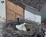 Capi_Dubne_20250429_133502.jpg