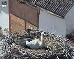 Capi_Dubne_20250429_153002.jpg