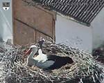 Capi_Dubne_20250429_160503.jpg