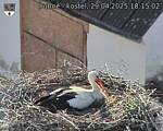 Capi_Dubne_20250429_181502.jpg