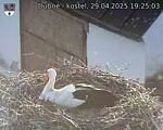 Capi_Dubne_20250429_192503.jpg