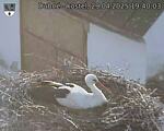 Capi_Dubne_20250429_194003.jpg