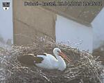 Capi_Dubne_20250429_194502.jpg
