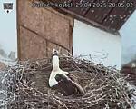Capi_Dubne_20250429_200502.jpg