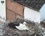 Capi_Dubne_20250429_202002.jpg