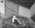 Capi_Dubne_20250429_204002.jpg