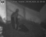 Capi_Dubne_20250429_223503.jpg