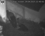 Capi_Dubne_20250429_224002.jpg