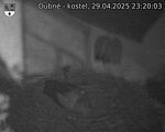 Capi_Dubne_20250429_232003.jpg