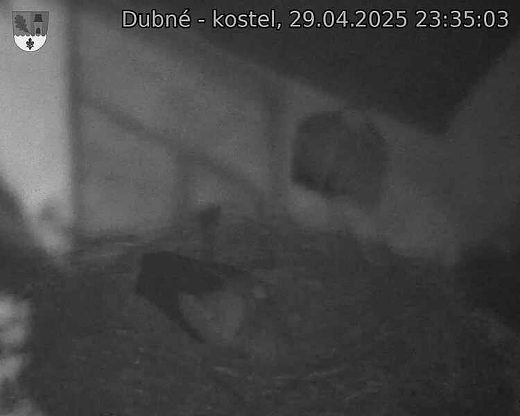 Capi_Dubne_20250429_233503.jpg (1350 x 1080)