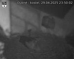 Capi_Dubne_20250429_235002.jpg
