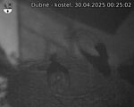 Capi_Dubne_20250430_002502.jpg