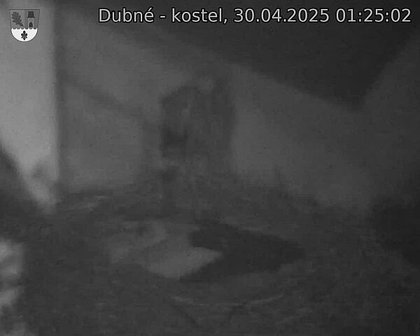 Capi_Dubne_20250430_012502.jpg (1350 x 1080)