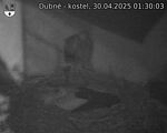 Capi_Dubne_20250430_013003.jpg