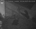 Capi_Dubne_20250430_031502.jpg