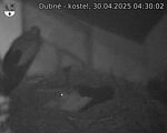 Capi_Dubne_20250430_043002.jpg