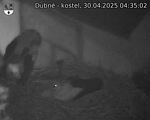 Capi_Dubne_20250430_043502.jpg