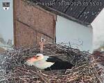 Capi_Dubne_20250430_055503.jpg