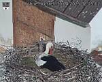 Capi_Dubne_20250430_082502.jpg