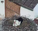Capi_Dubne_20250430_092502.jpg