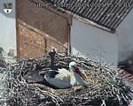 Capi_Dubne_20250430_152003.jpg
