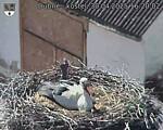 Capi_Dubne_20250430_162002.jpg