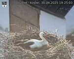 Capi_Dubne_20250430_192503.jpg