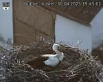 Capi_Dubne_20250430_194502.jpg