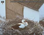 Capi_Dubne_20250430_195002.jpg