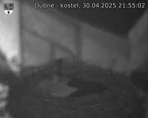 Capi_Dubne_20250430_215502.jpg (1350 x 1080)