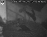 Capi_Dubne_20250430_230502.jpg
