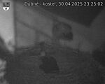 Capi_Dubne_20250430_232502.jpg