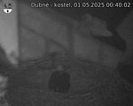 Capi_Dubne_20250501_004002.jpg