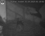 Capi_Dubne_20250501_011002.jpg