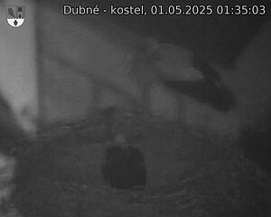 Capi_Dubne_20250501_013503.jpg (1350 x 1080)