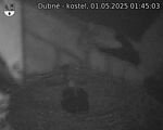 Capi_Dubne_20250501_014503.jpg