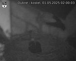 Capi_Dubne_20250501_020003.jpg