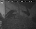 Capi_Dubne_20250501_021002.jpg