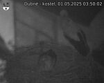 Capi_Dubne_20250501_035002.jpg