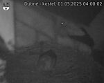 Capi_Dubne_20250501_040002.jpg