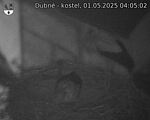 Capi_Dubne_20250501_040502.jpg