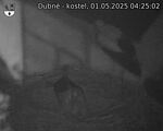 Capi_Dubne_20250501_042502.jpg