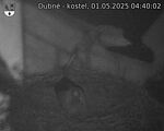 Capi_Dubne_20250501_044002.jpg