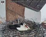 Capi_Dubne_20250501_075003.jpg