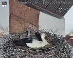 Capi_Dubne_20250501_075503.jpg