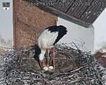 Capi_Dubne_20250501_080503.jpg
