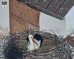Capi_Dubne_20250501_084003.jpg