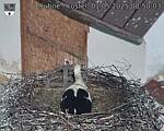 Capi_Dubne_20250501_085003.jpg